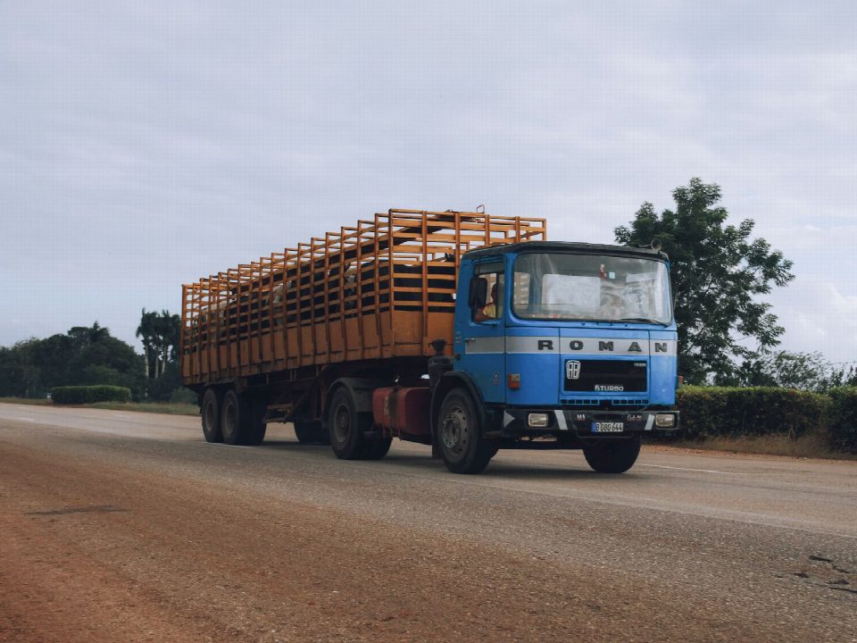 A blue truck transporting livestock on a rural highway under cloudy skies.