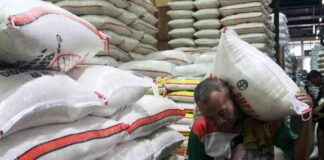 Government Halts Rice and Corn Imports by 2025, Rice Paddy Purchase Price Increased by Rp500 per Kg – government-halts-rice-and-corn-mports-by-2025-rice-paddy-purchase-price-ncreased-by-rp500-per-kg-tribunnewscom