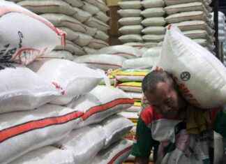 Government Halts Rice and Corn Imports by 2025, Rice Paddy Purchase Price Increased by Rp500 per Kg – government-halts-rice-and-corn-mports-by-2025-rice-paddy-purchase-price-ncreased-by-rp500-per-kg-tribunnewscom