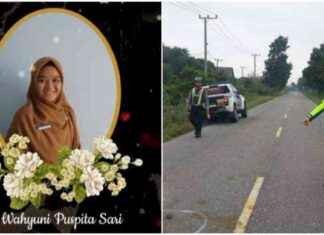 : Bidan PNS Wahyuni Puspita Sari Tewas Tabrak Kerbau di Musi Rawas tribunnewscom-bidan-pns-wahyuni-puspita-sari-tewas-tabrak-kerbau-di-musi-rawas