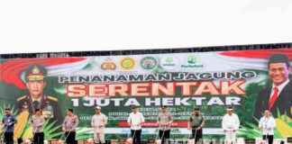 1 Million Hectares Corn Movement: Polri and Kementan Collaboration for Food Self-Sufficiency 2025 1-million-hectares-corn-movement-polri-and-kementan-collaboration-for-food-self-sufficiency-2025-republika-online