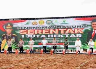1 Million Hectares Corn Movement: Polri and Kementan Collaboration for Food Self-Sufficiency 2025 1-million-hectares-corn-movement-polri-and-kementan-collaboration-for-food-self-sufficiency-2025-republika-online