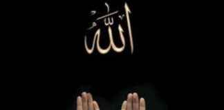 4 Doa Mustajab untuk Hidup Berkah dan Rezeki Melimpah 4-doa-mustajab-untuk-hidup-berkah-dan-rezeki-melimpah