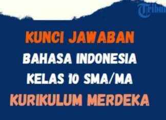 Answer Key for Indonesian Language Page 95 Class 10 High School Independent Curriculum – answer-key-for-ndonesian-language-page-95-class-10-high-school-ndependent-curriculum-tribunnewscom