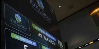 carbon-trading-abroad-officially-launched-boosting-dxcarbon-market-strengthening-in-ndonesia-republika-online