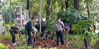 Coin Hunters Overcrowding Bandung City Park, Acting Mayor Calls for Stop coin-hunters-overcrowding-bandung-city-park-acting-mayor-calls-for-stop
