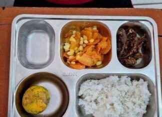 Free Nutritious Meal Program Targets 1.07 Million Pregnant Women and 3.7 Million Breastfeeding Mothers free-nutritious-meal-program-targets-107-million-pregnant-women-and-37-million-breastfeeding-mothers