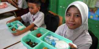 Free Nutritious Meal Program Targets 3 Million Beneficiaries, Students Thank Mr. Prabowo – free-nutritious-meal-program-targets-3-million-beneficiaries-students-thank-mr-prabowo-tribunnewscom