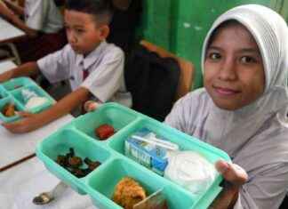 Free Nutritious Meal Program Targets 3 Million Beneficiaries, Students Thank Mr. Prabowo – free-nutritious-meal-program-targets-3-million-beneficiaries-students-thank-mr-prabowo-tribunnewscom