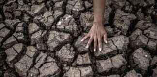 Government and DPR Urged to Discuss Climate Justice Bill government-and-dpr-urged-to-discuss-climate-justice-bill-republika-online