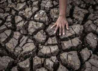 Government and DPR Urged to Discuss Climate Justice Bill government-and-dpr-urged-to-discuss-climate-justice-bill-republika-online