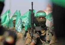 Hamas Forces Rise as IDF Lies, Gaza Population Drops by 6% – hamas-forces-rise-as-df-lies-gaza-population-drops-by-6-tribunnewscom