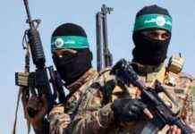 Hamas to Release 4 Israeli Hostages on Saturday – hamas-to-release-4-sraeli-hostages-on-saturday-tribunnewscom