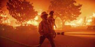 Hidden Dangers of Tornado Api Behind Los Angeles Forest Fires hidden-dangers-of-tornado-api-behind-los-angeles-forest-fires-republika-online