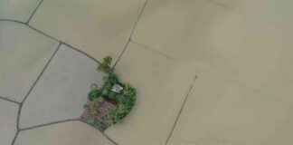 How to Apply for Assistance When Agricultural Land Fails to Harvest Due to Disasters how-to-apply-for-assistance-when-agricultural-land-fails-to-harvest-due-to-disasters-republika-online