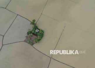 How to Apply for Assistance When Agricultural Land Fails to Harvest Due to Disasters how-to-apply-for-assistance-when-agricultural-land-fails-to-harvest-due-to-disasters-republika-online