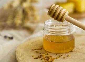 Humorous Stories of Prophet’s Companions humorous-stories-of-prophets-companions-republika-online