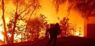 Jamie Lee Curtis compares Pacific Palisades to Gaza in wake of Los Angeles wildfires jamie-lee-curtis-compares-pacific-palisades-to-gaza-in-wake-of-los-angeles-wildfires