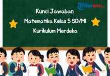 Key Answers for Grade 5 Mathematics Page 265 Merdeka Curriculum, Exploration 8.3E – Tribunnews key-answers-for-grade-5-mathematics-page-265-merdeka-curriculum-exploration-83e-tribunnews