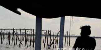 Illegal Sea Barriers Disturb Thousands of Fishermen, MUI: Offenders Could Face Jail Time and Fines llegal-sea-barriers-disturb-thousands-of-fishermen-mu-offenders-could-face-jail-time-and-fines-republika-online