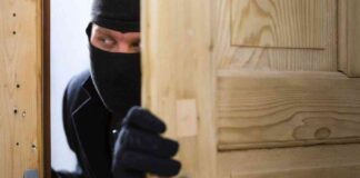 llegal-wood-theft-in-gunungkidul-perpetrator-sentenced-to-5-years-for-stealing-5-pieces-of-wood-tribunnewscom