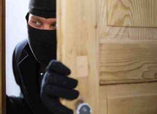 Illegal Wood Theft in Gunungkidul: Perpetrator Sentenced to 5 Years for Stealing 5 Pieces of Wood – llegal-wood-theft-in-gunungkidul-perpetrator-sentenced-to-5-years-for-stealing-5-pieces-of-wood-tribunnewscom