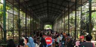 Monitoring Animal Births at Taman Margasatwa Ragunan: Camera Preparation monitoring-animal-births-at-taman-margasatwa-ragunan-camera-preparation-republika-online