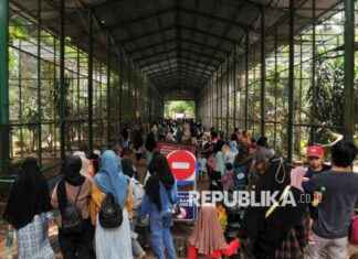 Monitoring Animal Births at Taman Margasatwa Ragunan: Camera Preparation monitoring-animal-births-at-taman-margasatwa-ragunan-camera-preparation-republika-online