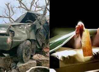 Navy Officer Dies in Accident in Madura, Car Crashes into Road Barrier – navy-officer-dies-in-accident-in-madura-car-crashes-into-road-barrier-tribunnewscom