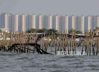 Investigasi Penyelesaian Kasus Pagar Laut 30 Km di Tangerang: Update Terbaru & Harapan Masyarakat nvestigasi-penyelesaian-kasus-pagar-laut-30-km-di-tangerang-update-terbaru-harapan-masyarakat