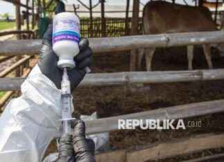 PMK Outbreak Claims Four Cows in Bandung Barat, Vaccination Supply Awaited pmk-outbreak-claims-four-cows-in-bandung-barat-vaccination-supply-awaited