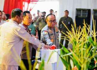 Polri Targets 300,000 Hectares of Corn Fields to Support Food Self-Sufficiency polri-targets-300000-hectares-of-corn-fields-to-support-food-self-sufficiency-republika-online