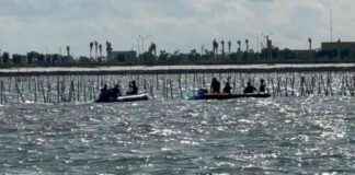 Positive Impact of Mysterious Sea Fence Unveiled by Tanjung Pasir Fishermen – positive-mpact-of-mysterious-sea-fence-unveiled-by-tanjung-pasir-fishermen-tribunnewscom