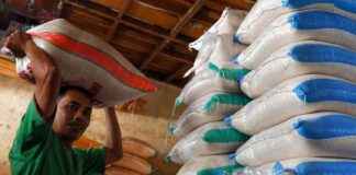 Predictions for Stable Rice Prices During Ramadan and Eid Al-Fitr 2025 – predictions-for-stable-rice-prices-during-ramadan-and-eid-al-fitr-2025-tribunnewscom