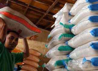 Predictions for Stable Rice Prices During Ramadan and Eid Al-Fitr 2025 – predictions-for-stable-rice-prices-during-ramadan-and-eid-al-fitr-2025-tribunnewscom