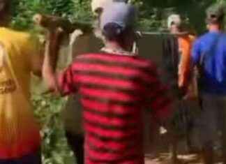 Pregnant Woman Carried on a Stretcher Over Damaged Road in Bima, One of Her Twins Dies After Birth pregnant-woman-carried-on-a-stretcher-over-damaged-road-in-bima-one-of-her-twins-dies-after-birth