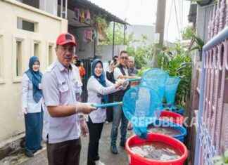 Program Budidaya Manggot, Lele, dan Pencegahan Stunting di Warga Rawa Badak Utara program-budidaya-manggot-lele-dan-pencegahan-stunting-di-warga-rawa-badak-utara