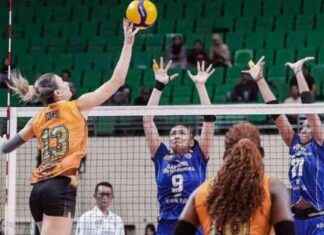 Proliga 2025 Women’s Standings Update: Popsivo Runner-Up Below Electric PLN, Livin Mandiri Third proliga-2025-womens-standings-update-popsivo-runner-up-below-electric-pln-livin-mandiri-third