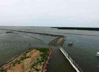 PT Cahaya Inti Sentosa Profile: 20 HGB Land in Tangerang, Acquisition Target by Aguan-Salim Group – pt-cahaya-nti-sentosa-profile-20-hgb-land-in-tangerang-acquisition-target-by-aguan-salim-group-tribunnewscom