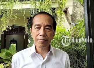 Public Satisfaction with Prabowo-Gibran’s 100-Day Performance: Jokowi’s Response – public-satisfaction-with-prabowo-gibrans-100-day-performance-jokowis-response-tribunnewscom