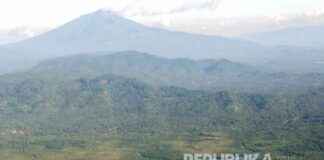 IRI Indonesia: Bioekonomi Solusi Krisis Iklim r-ndonesia-bioekonomi-solusi-krisis-klim-republika-online