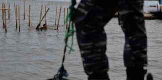 Reasons Behind the Demolition of Sea Fence Unveiled reasons-behind-the-demolition-of-sea-fence-unveiled-republika-online