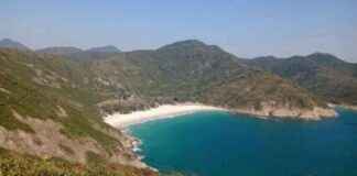 Sai Kung: The Other Face of Hong Kong Without Skyscrapers, Buffalo Roaming the Streets – sai-kung-the-other-face-of-hong-kong-without-skyscrapers-buffalo-roaming-the-streets-tribunnewscom