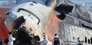 Successfully Extracted Cockpit Voice Recorder of Jeju Air Aircraft, FDR Still in Process – successfully-extracted-cockpit-voice-recorder-of-jeju-air-aircraft-fdr-still-in-process-tribunnewscom