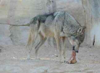 The Danger of Muslims with These 2 Defects: Hadith Insights the-danger-of-muslims-with-these-2-defects-hadith-nsights-republika-online