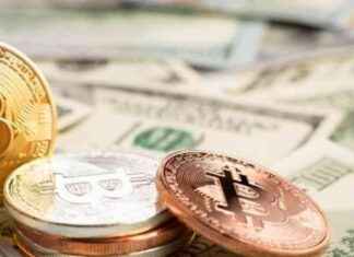 Top 12 Crypto and Web3 Industry Leaders in Indonesia – top-12-crypto-and-web3-ndustry-leaders-in-ndonesia-tribunnewscom