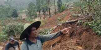 Tragedi Longsor di Pekalongan: 20 Orang Meninggal, Polda Jateng Terjunkan 300 Personel – . tragedi-longsor-di-pekalongan-20-orang-meninggal-polda-jateng-terjunkan-300-personel-tribunnews