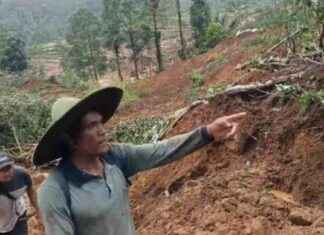 Tragedi Longsor di Pekalongan: 20 Orang Meninggal, Polda Jateng Terjunkan 300 Personel – . tragedi-longsor-di-pekalongan-20-orang-meninggal-polda-jateng-terjunkan-300-personel-tribunnews