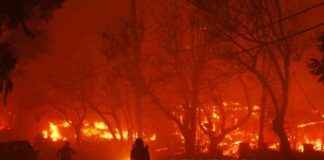 Understanding the Los Angeles Fire and Interpretation of Al-Baqarah Verse 266 understanding-the-los-angeles-fire-and-nterpretation-of-al-baqarah-verse-266