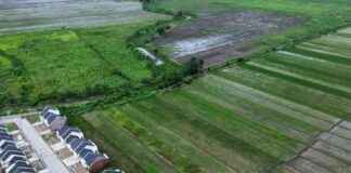 Visioner Agriculture Minister Appreciated for One Data Agricultural Initiative visioner-agriculture-minister-appreciated-for-one-data-agricultural-nitiative